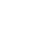 pdf icon