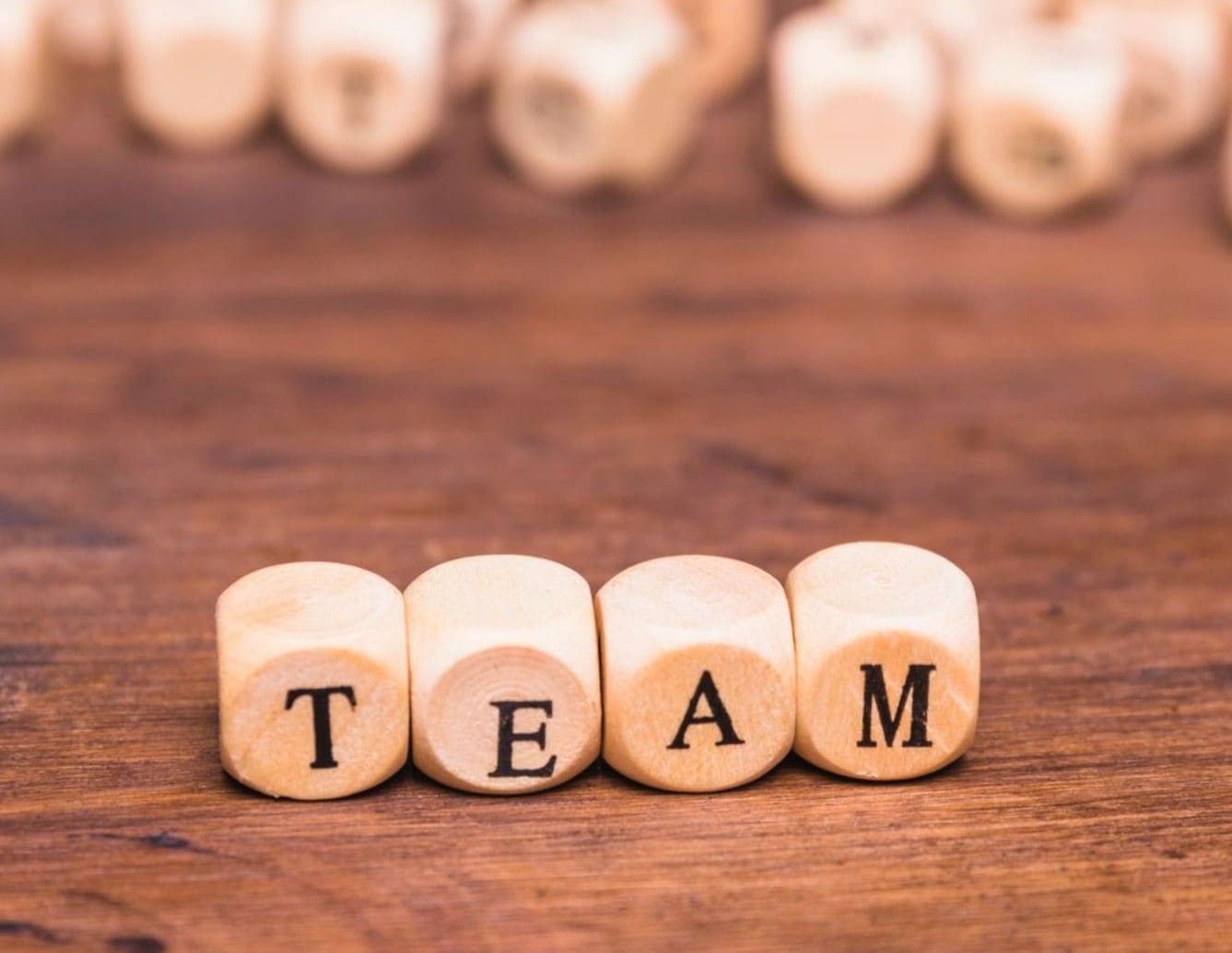 Our Team Our Team