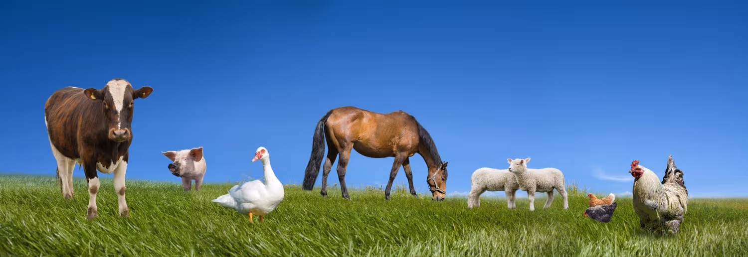 Veterinary Range banner