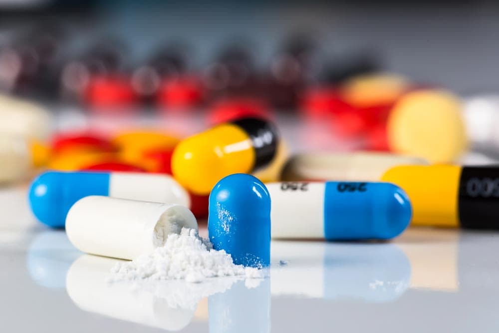 Excipients Range